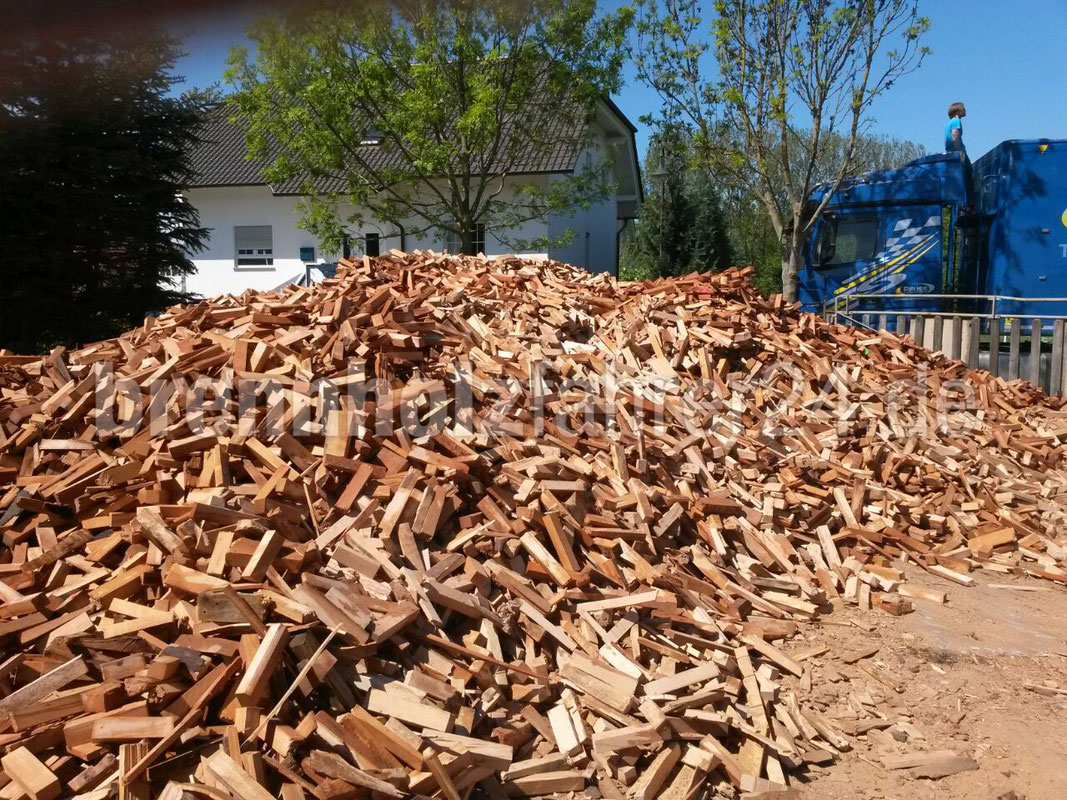 VeyHolz Fuhrpark und Holzlager 1