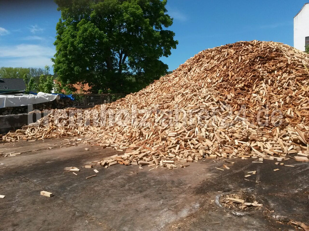 VeyHolz Fuhrpark und Holzlager 2