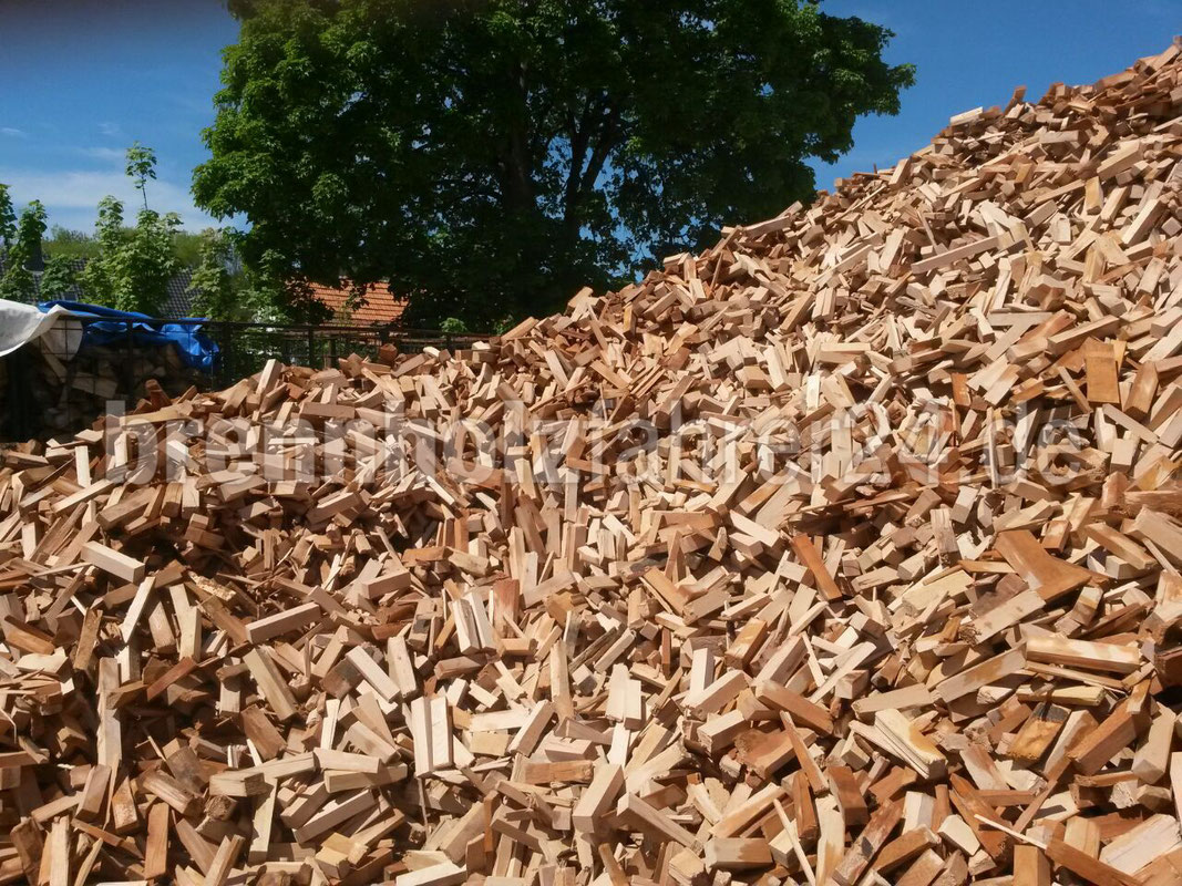 VeyHolz Fuhrpark und Holzlager 3