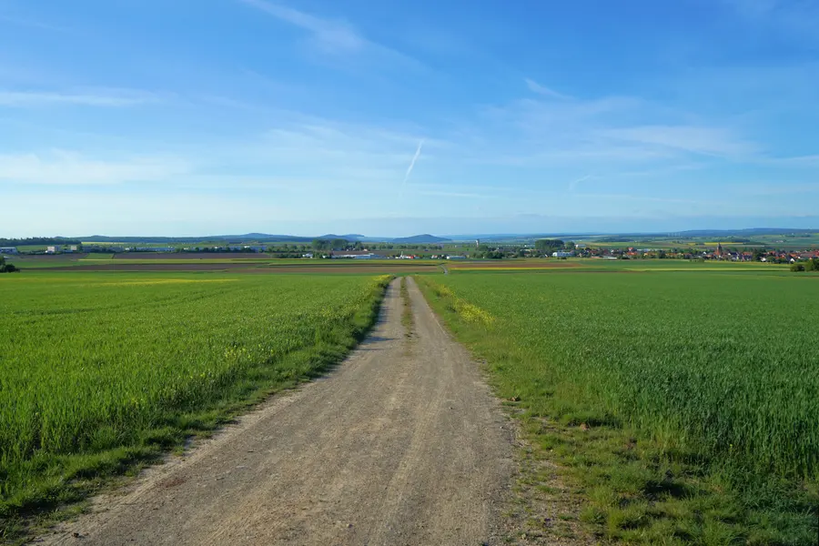 Brennholz kaufen in Calden (Reinhardswald & Nordhessen) – Ofenfertiges Kaminholz & Buchen-Industrieholz mit 6–8 % Restfeuchte