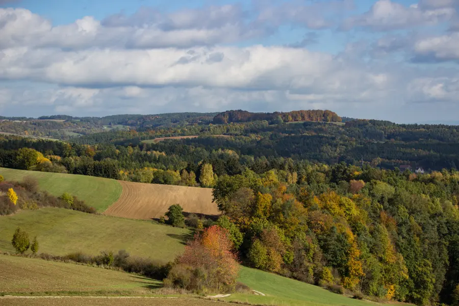 Brennholz kaufen in Dermbach (Wartburgkreis & Thüringer Rhön) – Ofenfertiges Kaminholz & Buchen-Industrieholz mit 6–8 % Restfeuchte
