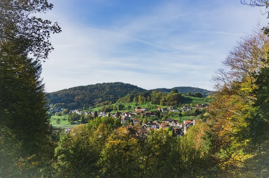Brennholz kaufen in Lichtenfels (Burgwald & Ederbergland) – Ofenfertiges Kaminholz & Buchen-Industrieholz mit 6–8 % Restfeuchte