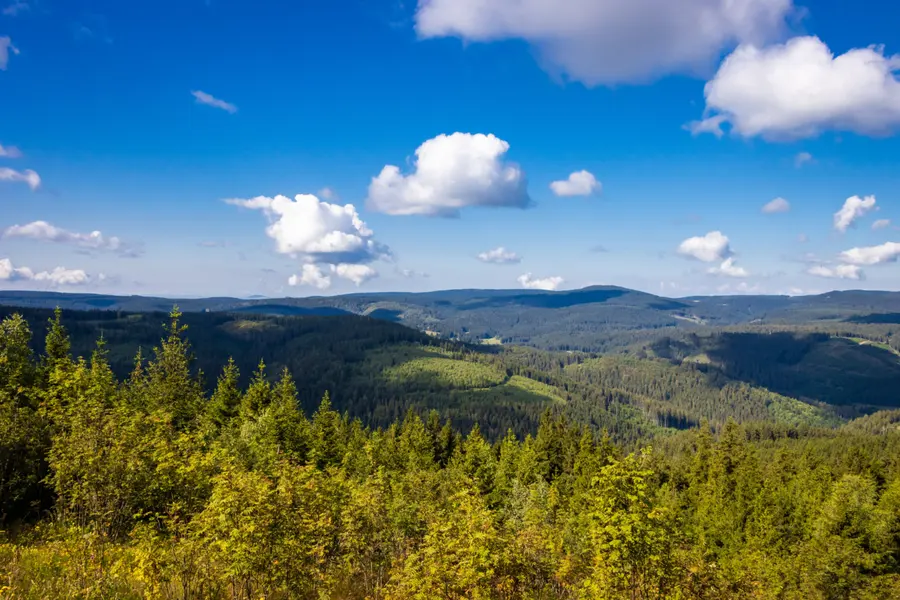 Brennholz kaufen in Neuhaus am Rennweg (Thüringer Schiefergebirge & Ilm-Kreis) – Ofenfertiges Kaminholz & Buchen-Industrieholz mit 6–8 % Restfeuchte