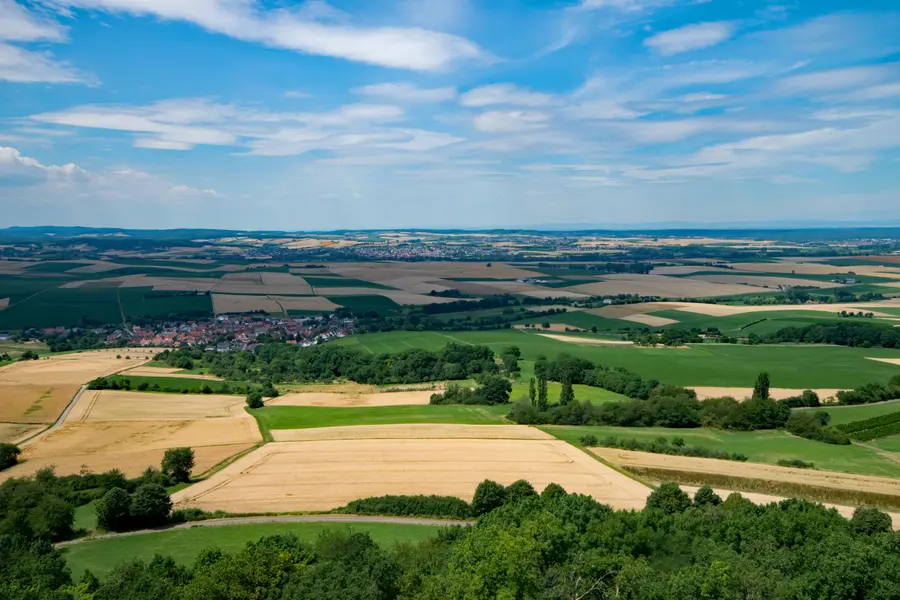 Brennholz kaufen in Niederaula (Waldhessen & Hersfeld-Rotenburg) – Ofenfertiges Kaminholz & Buchen-Industrieholz mit 6–8 % Restfeuchte