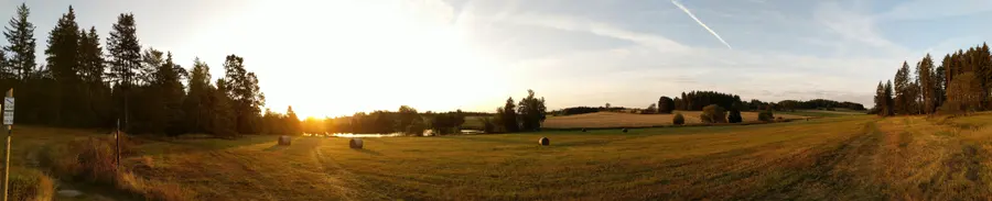 Brennholz kaufen in Römhild (Südthüringen & Werratal) – Ofenfertiges Kaminholz & Buchen-Industrieholz mit 6–8 % Restfeuchte