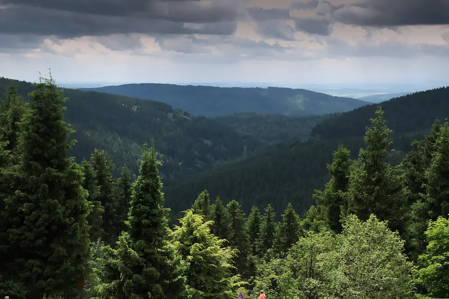 Brennholz kaufen in Tambach-Dietharz (Westthüringen, Wartburgkreis & Landkreis Gotha) – Ofenfertiges Kaminholz & Buchen-Industrieholz mit 6–8 % Restfeuchte