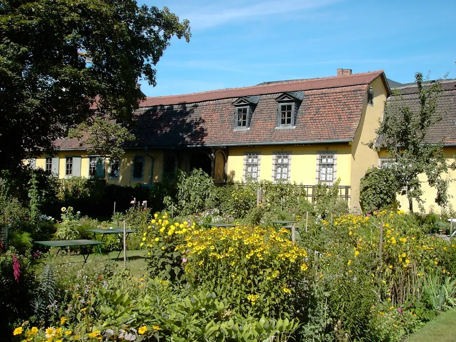 Brennholz kaufen in Weimar (Weimarer Land & Mittelthüringen) – Ofenfertiges Kaminholz & Buchen-Industrieholz mit 6–8 % Restfeuchte