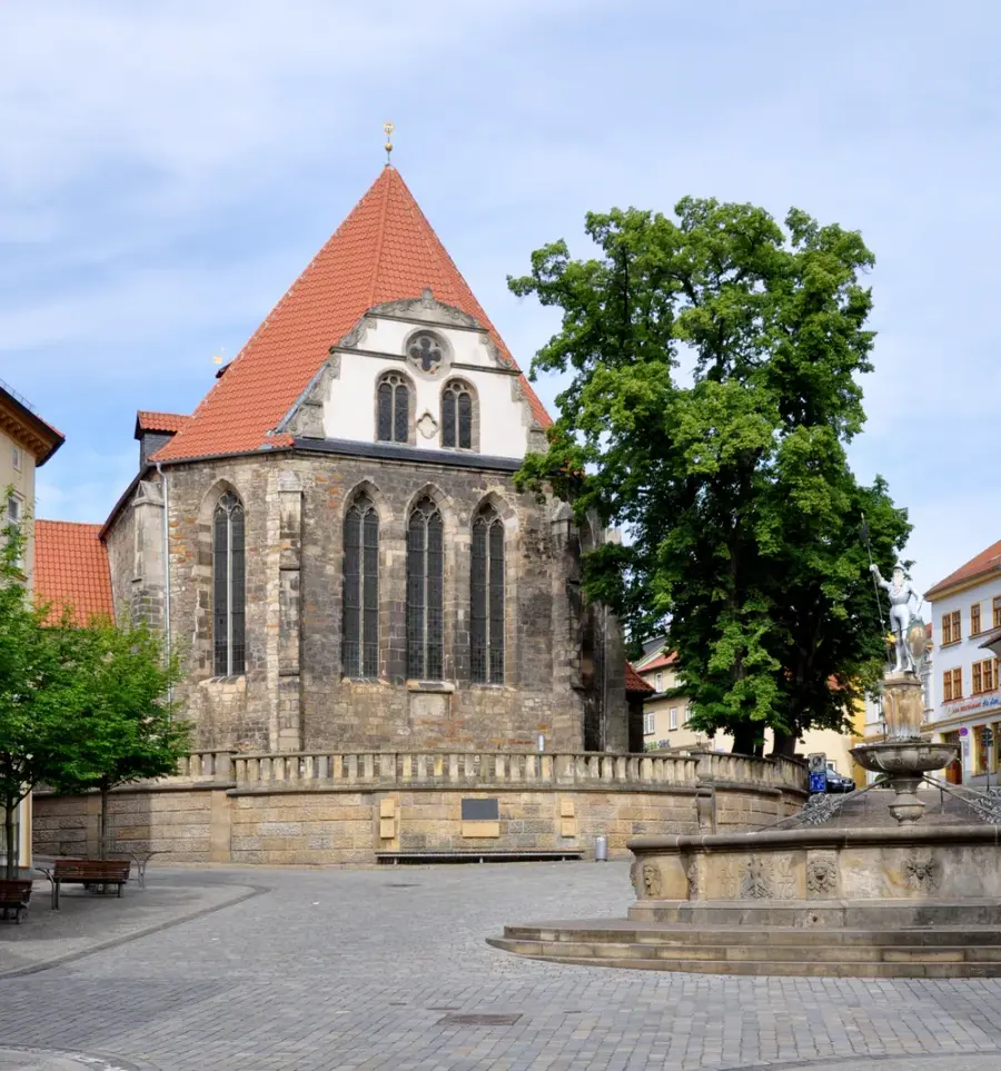 Brennholz & Kaminholz Lieferung nach Arnstadt (PLZ 99310) – Kammergetrocknetes Buchenholz von Brennholzhandel Vey