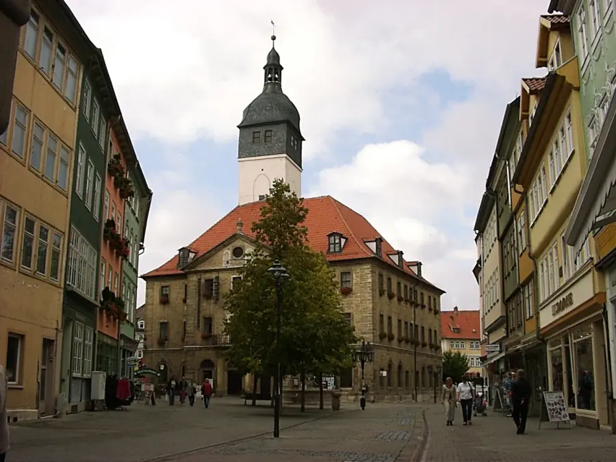 Brennholz & Kaminholz Lieferung nach Bad Langensalza (PLZ 99947) – Kammergetrocknetes Buchenholz von Brennholzhandel Vey