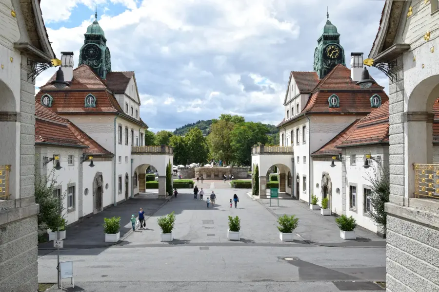 Brennholz & Kaminholz Lieferung nach Bad Nauheim (PLZ 61231) – Kammergetrocknetes Buchenholz von Brennholzhandel Vey