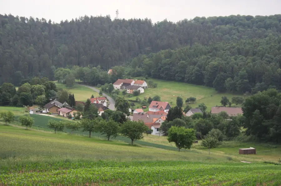 Brennholz & Kaminholz Lieferung nach Breitenbach am Herzberg (PLZ 36287) – Kammergetrocknetes Buchenholz von Brennholzhandel Vey