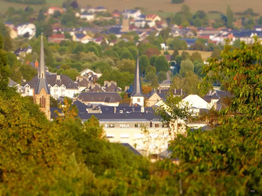 Brennholz & Kaminholz Lieferung nach Diekirch (PLZ 9201) – Kammergetrocknetes Buchenholz von Brennholzhandel Vey