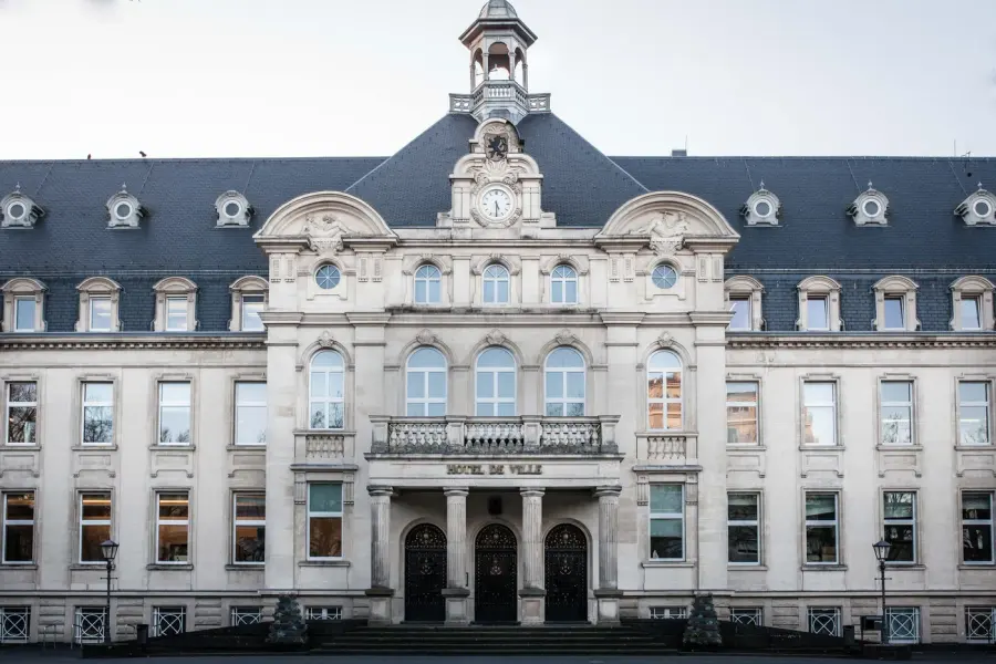 Brennholz & Kaminholz Lieferung nach Düdelingen (PLZ 3401) – Kammergetrocknetes Buchenholz von Brennholzhandel Vey