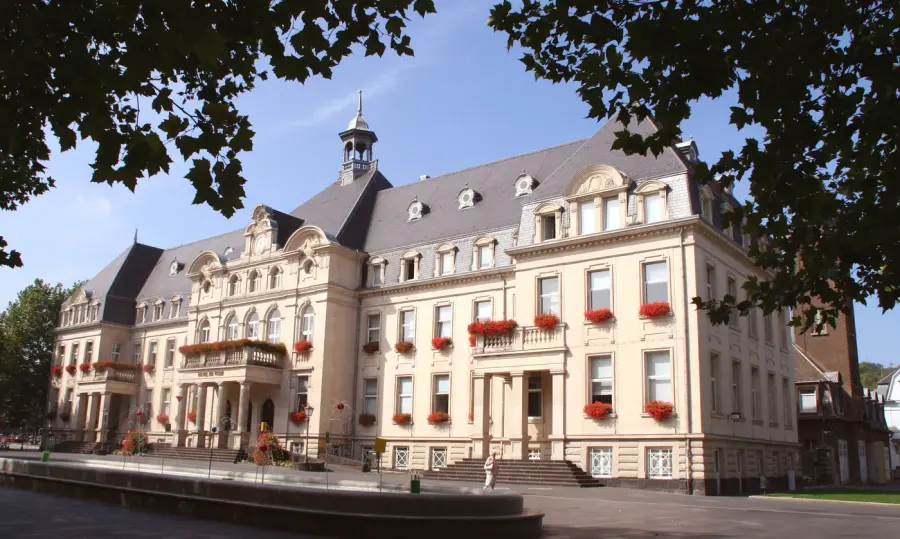 Brennholz & Kaminholz Lieferung nach Esch an der Alzette (PLZ 4002) – Kammergetrocknetes Buchenholz von Brennholzhandel Vey