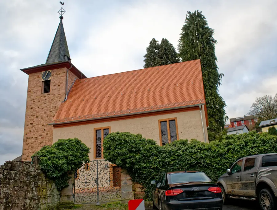 Brennholz & Kaminholz Lieferung nach Flörsbachtal (PLZ 63639) – Kammergetrocknetes Buchenholz von Brennholzhandel Vey