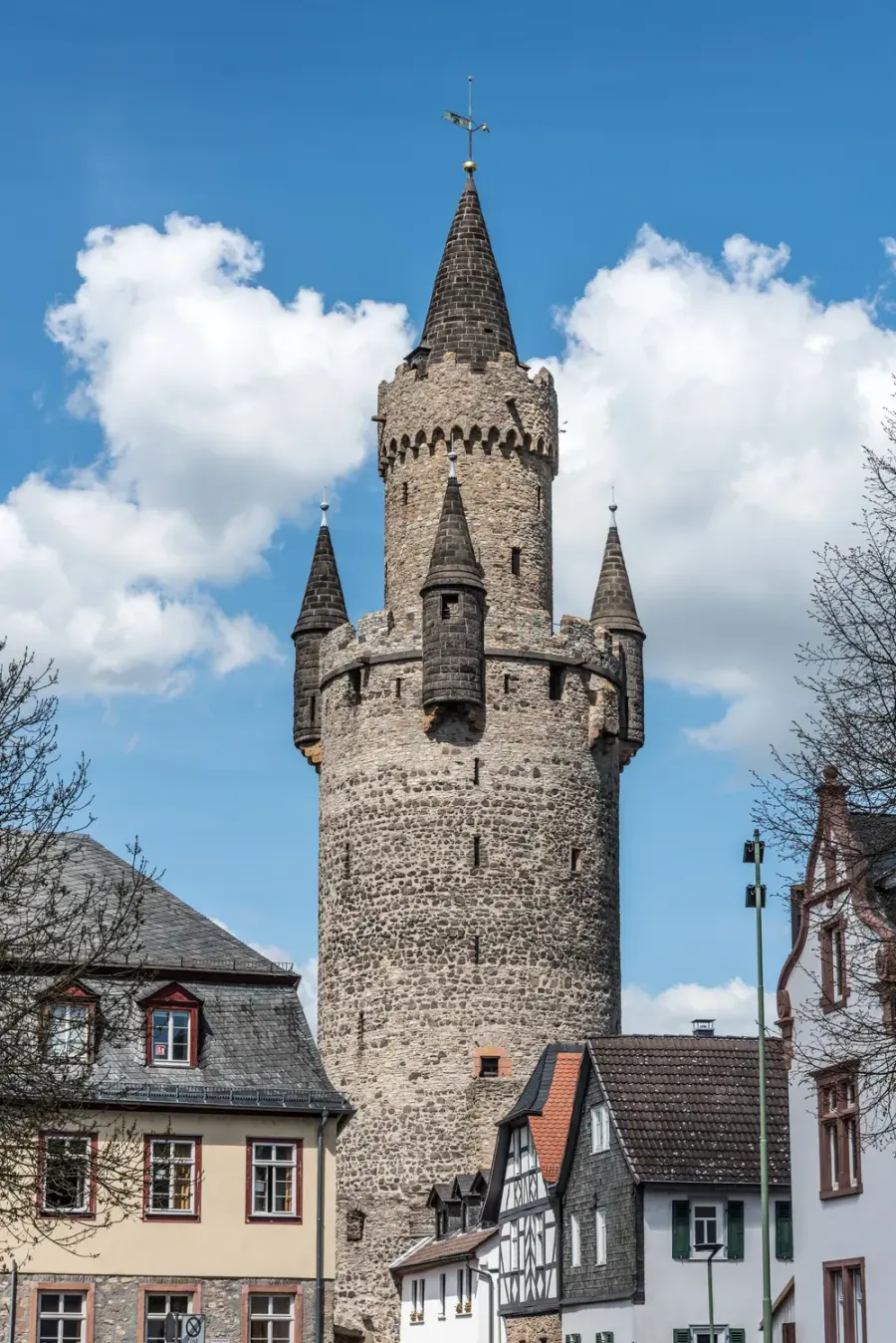 Brennholz & Kaminholz Lieferung nach Friedberg (Hessen) (PLZ 61169) – Kammergetrocknetes Buchenholz von Brennholzhandel Vey