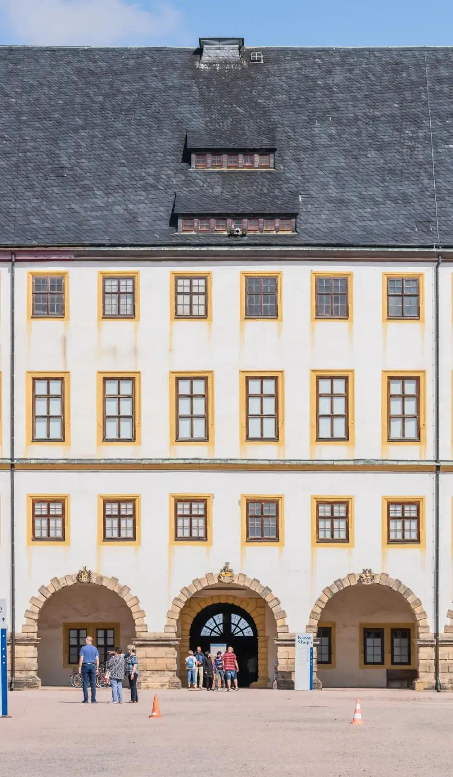 Brennholz & Kaminholz Lieferung nach Gotha (PLZ 99867) – Kammergetrocknetes Buchenholz von Brennholzhandel Vey