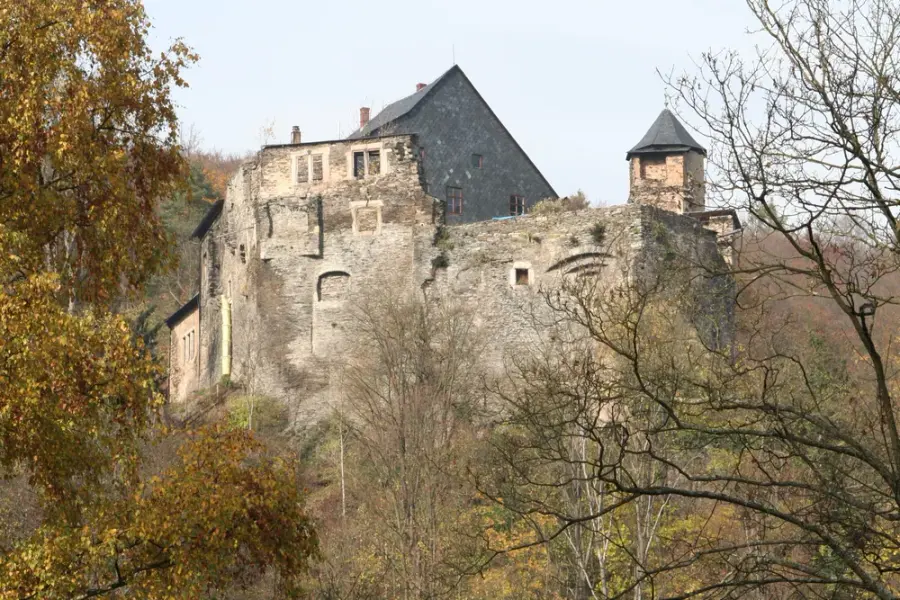 Brennholz & Kaminholz Lieferung nach Gräfenthal (PLZ 07343) – Kammergetrocknetes Buchenholz von Brennholzhandel Vey