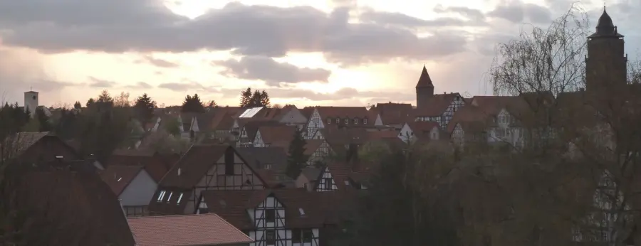 Brennholz & Kaminholz Lieferung nach Grebenstein (PLZ 34393) – Kammergetrocknetes Buchenholz von Brennholzhandel Vey