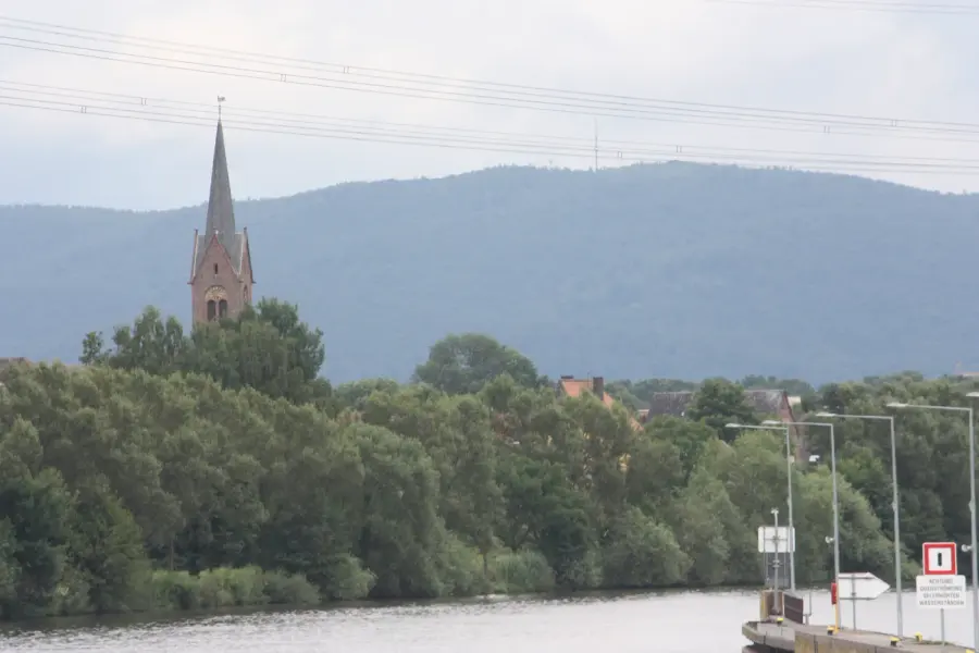Brennholz & Kaminholz Lieferung nach Großkrotzenburg (PLZ 63538) – Kammergetrocknetes Buchenholz von Brennholzhandel Vey
