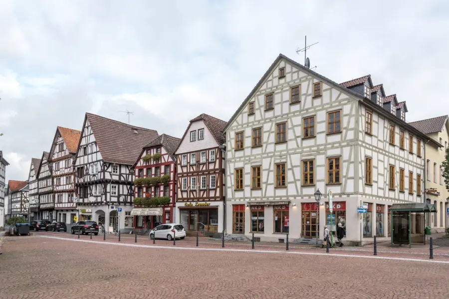 Brennholz & Kaminholz Lieferung nach Grünberg (PLZ 35305) – Kammergetrocknetes Buchenholz von Brennholzhandel Vey