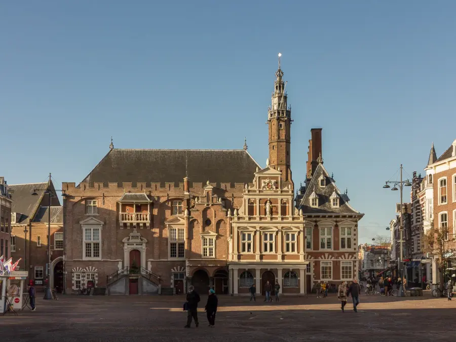 Brennholz & Kaminholz Lieferung nach Haarlem (PLZ 2011) – Kammergetrocknetes Buchenholz von Brennholzhandel Vey