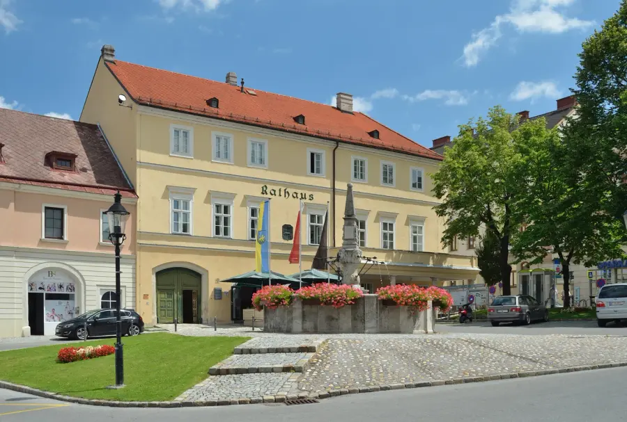 Brennholz & Kaminholz Lieferung nach Hainburg (PLZ 63512) – Kammergetrocknetes Buchenholz von Brennholzhandel Vey