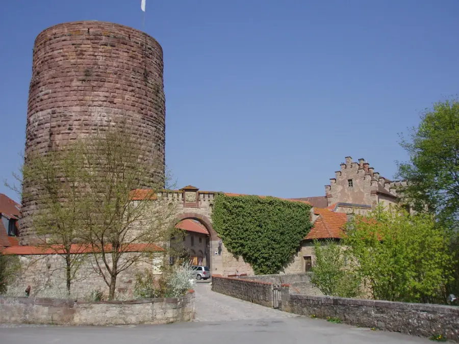 Brennholz & Kaminholz Lieferung nach Hammelburg (PLZ 97762) – Kammergetrocknetes Buchenholz von Brennholzhandel Vey