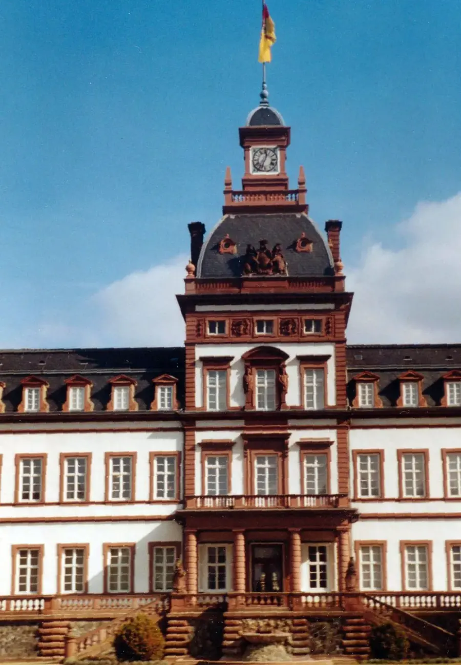 Brennholz & Kaminholz Lieferung nach Hanau (PLZ 63450) – Kammergetrocknetes Buchenholz von Brennholzhandel Vey
