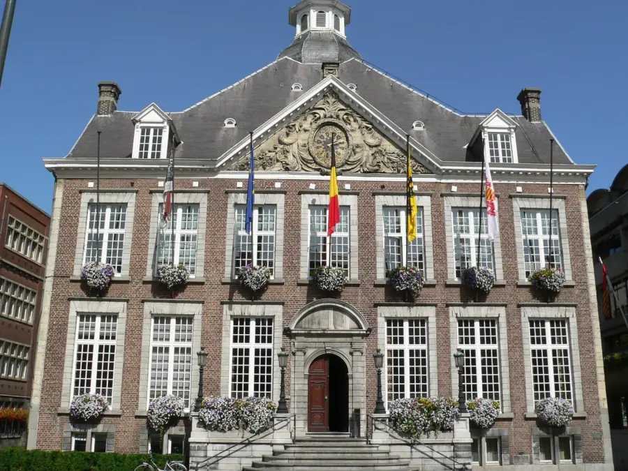 Brennholz & Kaminholz Lieferung nach Hasselt (PLZ 3500) – Kammergetrocknetes Buchenholz von Brennholzhandel Vey