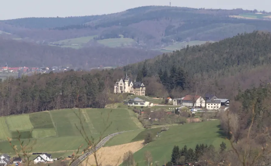 Brennholz & Kaminholz Lieferung nach Haunetal (PLZ 36166) – Kammergetrocknetes Buchenholz von Brennholzhandel Vey
