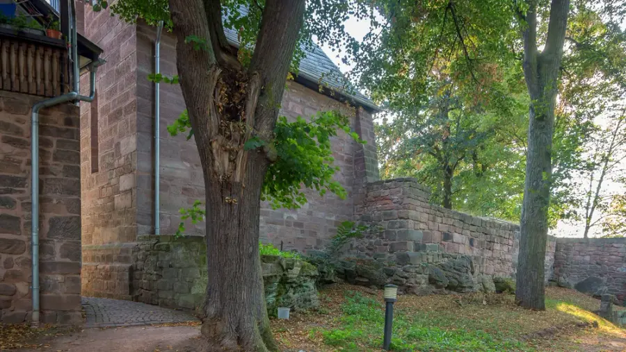 Brennholz & Kaminholz Lieferung nach Heilbad Heiligenstadt (PLZ 37308) – Kammergetrocknetes Buchenholz von Brennholzhandel Vey