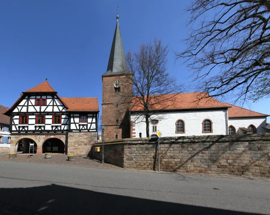 Brennholz & Kaminholz Lieferung nach Heuchelheim (PLZ 35452) – Kammergetrocknetes Buchenholz von Brennholzhandel Vey