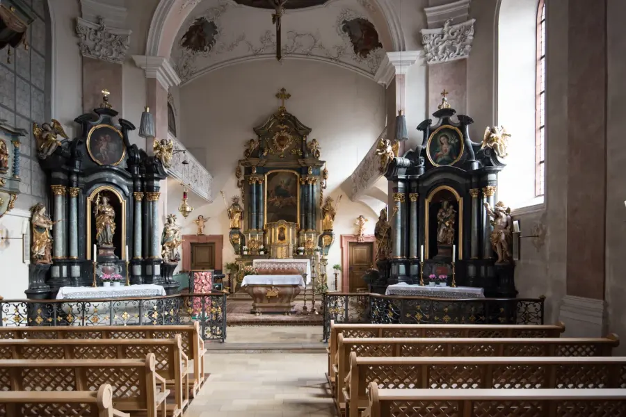 Brennholz & Kaminholz Lieferung nach Hösbach (PLZ 63768) – Kammergetrocknetes Buchenholz von Brennholzhandel Vey