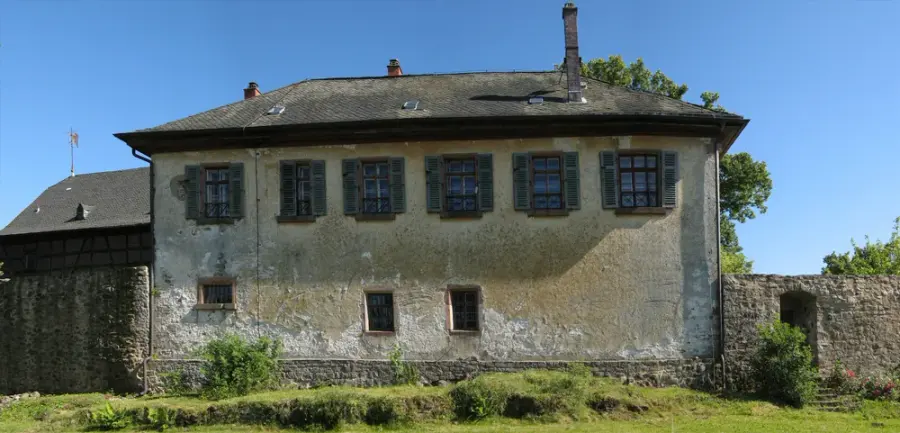 Brennholz & Kaminholz Lieferung nach Homberg (Ohm) (PLZ 35315) – Kammergetrocknetes Buchenholz von Brennholzhandel Vey