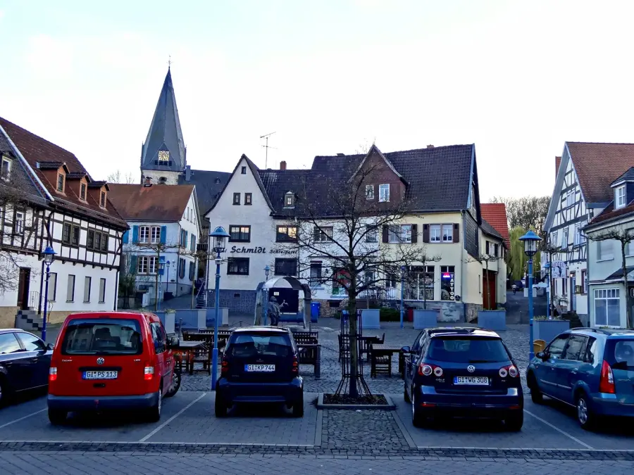Brennholz & Kaminholz Lieferung nach Hungen (PLZ 35410) – Kammergetrocknetes Buchenholz von Brennholzhandel Vey