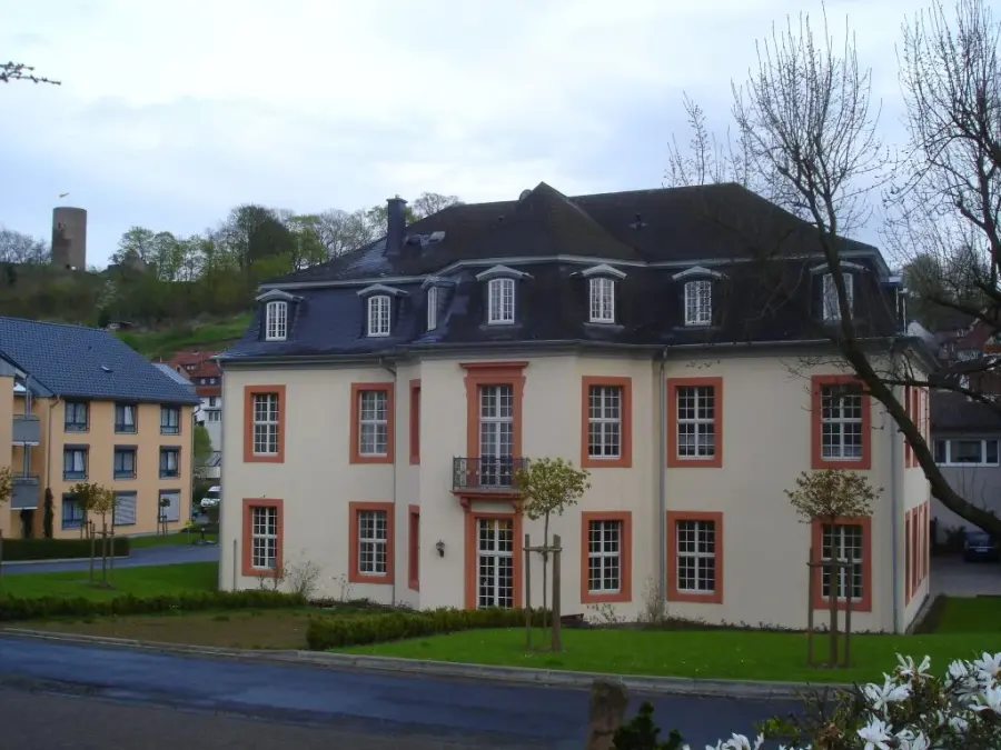 Brennholz & Kaminholz Lieferung nach Jesberg (PLZ 34632) – Kammergetrocknetes Buchenholz von Brennholzhandel Vey