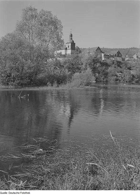 Brennholz & Kaminholz Lieferung nach Kaulsdorf (Saale) (PLZ 07338) – Kammergetrocknetes Buchenholz von Brennholzhandel Vey