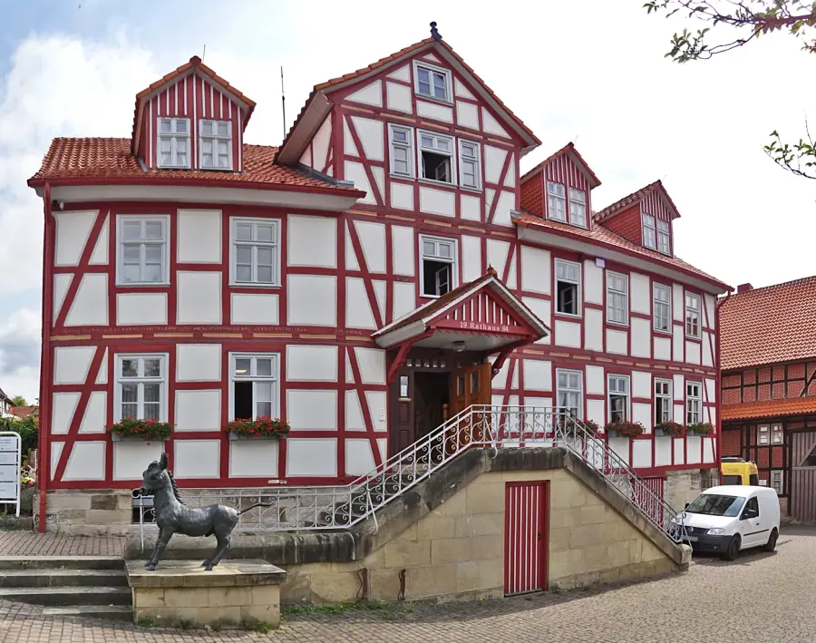 Brennholz & Kaminholz Lieferung nach Körle (PLZ 34327) – Kammergetrocknetes Buchenholz von Brennholzhandel Vey