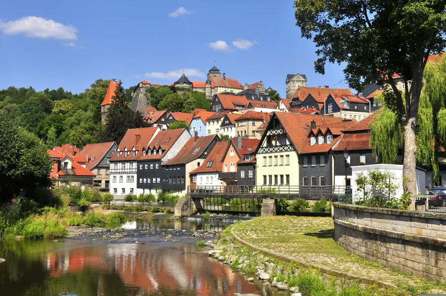 Brennholz & Kaminholz Lieferung nach Kronach (PLZ 96317) – Kammergetrocknetes Buchenholz von Brennholzhandel Vey