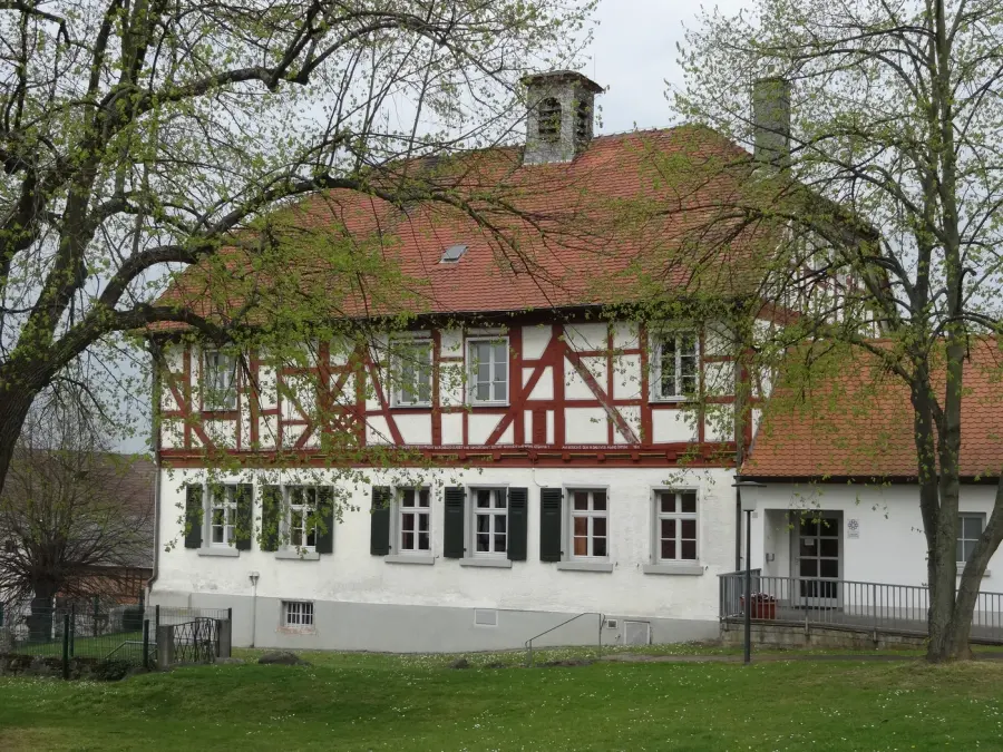 Brennholz & Kaminholz Lieferung nach Linden (PLZ 35440) – Kammergetrocknetes Buchenholz von Brennholzhandel Vey