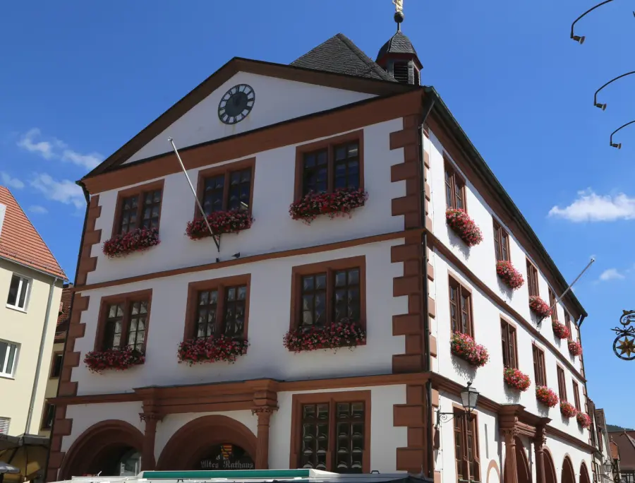 Brennholz & Kaminholz Lieferung nach Lohr am Main (PLZ 97816) – Kammergetrocknetes Buchenholz von Brennholzhandel Vey