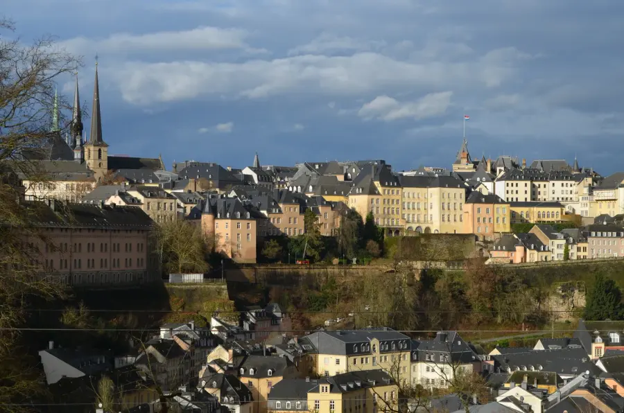 Brennholz & Kaminholz Lieferung nach Luxemburg (PLZ 1111) – Kammergetrocknetes Buchenholz von Brennholzhandel Vey
