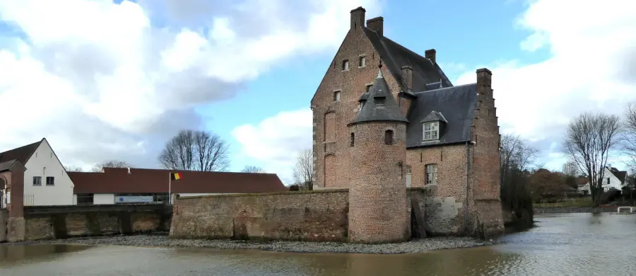 Brennholz & Kaminholz Lieferung nach Mouscron (PLZ 7700) – Kammergetrocknetes Buchenholz von Brennholzhandel Vey
