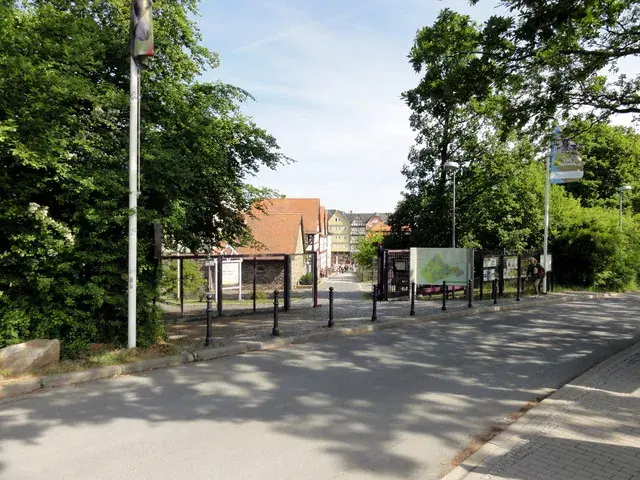 Brennholz & Kaminholz Lieferung nach Neu-Anspach (PLZ 61267) – Kammergetrocknetes Buchenholz von Brennholzhandel Vey