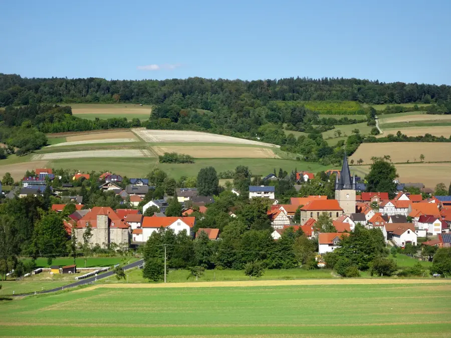 Brennholz & Kaminholz Lieferung nach Ringgau (PLZ 37296) – Kammergetrocknetes Buchenholz von Brennholzhandel Vey