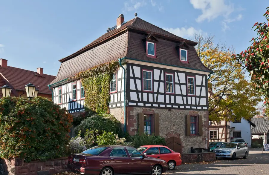 Brennholz & Kaminholz Lieferung nach Rodenbach (PLZ 63517) – Kammergetrocknetes Buchenholz von Brennholzhandel Vey