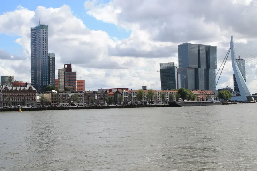 Brennholz & Kaminholz Lieferung nach Rotterdam (PLZ 3011) – Kammergetrocknetes Buchenholz von Brennholzhandel Vey
