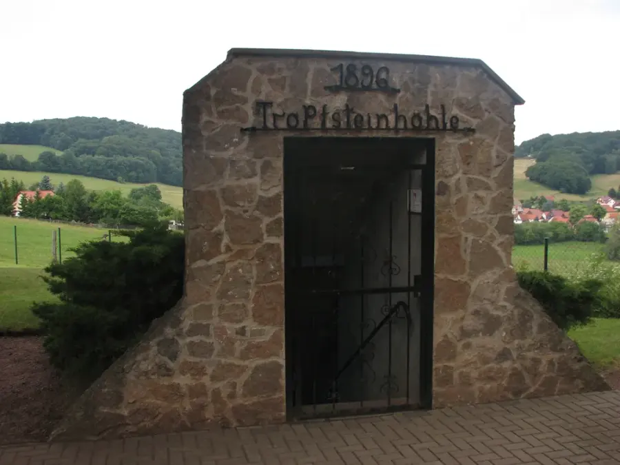 Brennholz & Kaminholz Lieferung nach Ruhla (PLZ 99842) – Kammergetrocknetes Buchenholz von Brennholzhandel Vey