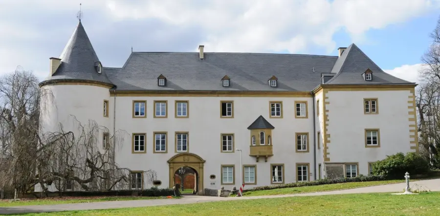 Brennholz & Kaminholz Lieferung nach Sanem (PLZ 4980) – Kammergetrocknetes Buchenholz von Brennholzhandel Vey